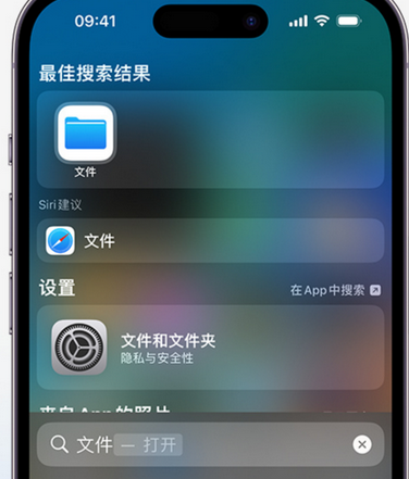 仙居apple维修中心分享iPhone文件应用中存储和找到下载文件