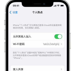 仙居apple服务站点分享iPhone上个人热点丢失了怎么办 