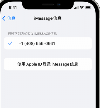 仙居apple维修iPhone上无法正常发送iMessage信息 