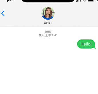 仙居apple维修iPhone上无法正常发送iMessage信息