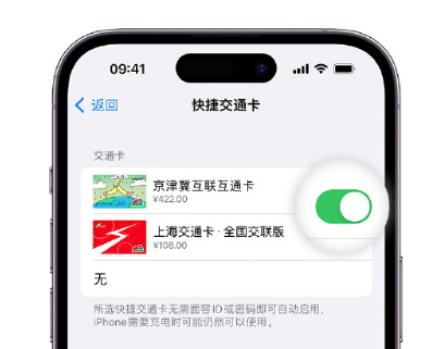 仙居apple维修点分享iPhone上更换Apple Pay快捷交通卡手绘卡面 