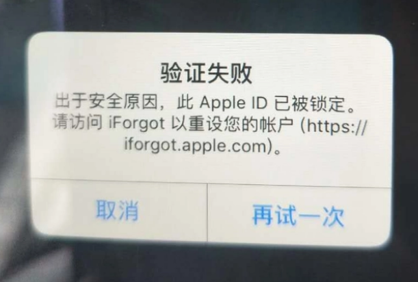 仙居iPhone维修分享iPhone上正常登录或使用AppleID怎么办 