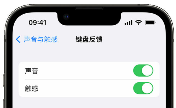 仙居苹果手机维修分享iPhone 14触感键盘使用方法 