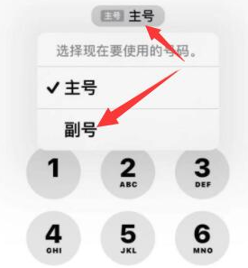 仙居苹果14维修店分享iPhone 14 Pro Max使用副卡打电话的方法 