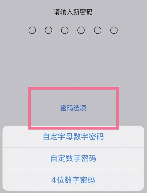 仙居苹果14维修分享iPhone 14plus设置密码的方法 