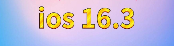 仙居苹果服务网点分享苹果iOS16.3升级反馈汇总 