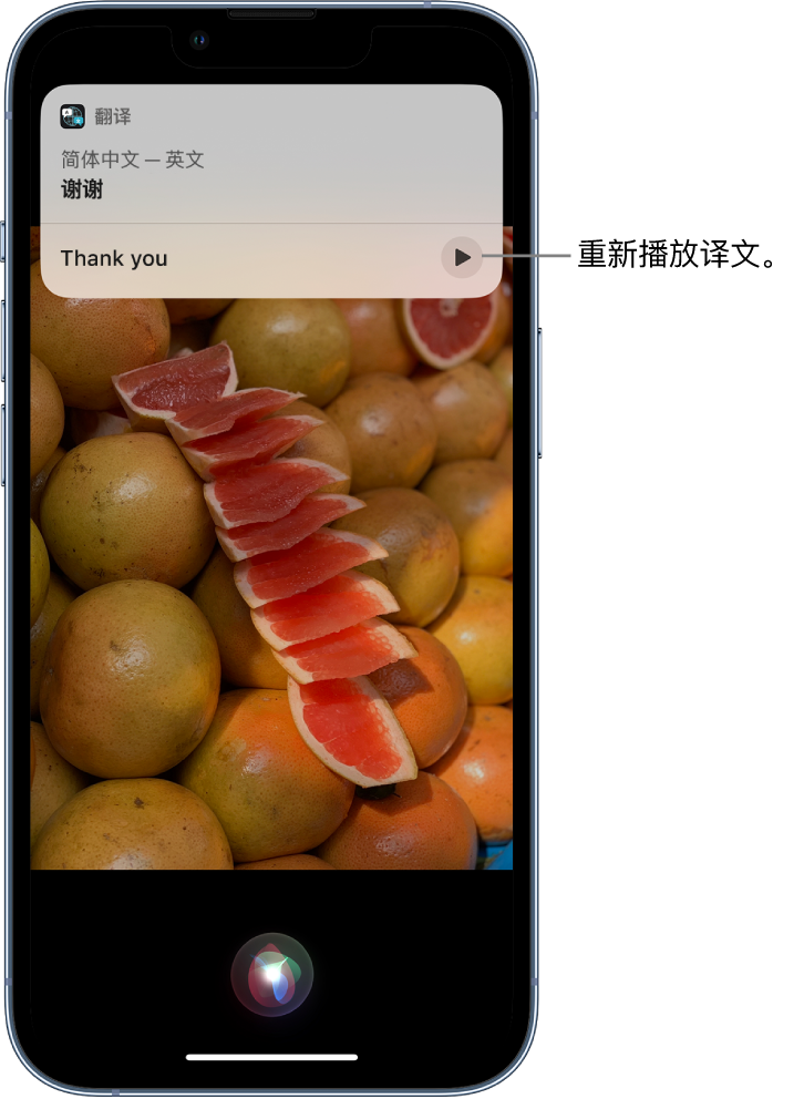 仙居苹果14维修分享 iPhone 14 机型中使用 Siri：了解 Siri 能帮你做什么 