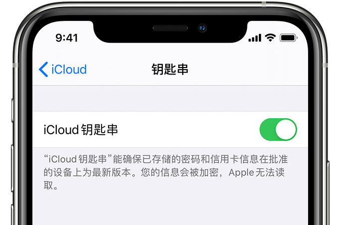 仙居苹果手机维修分享在 iPhone 上开启 iCloud 钥匙串之后会储存哪些信息 