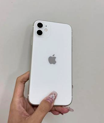 仙居苹果维修点分享iPhone 11黑屏特殊场景解析 